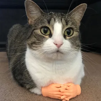 1 пара забавных массирующих перчаток для мизинца, искусственная человеческая рука для кошки, котенок, кошка